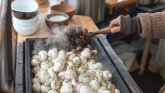 Süppli Champignons am Suppenstand